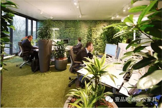 為什么辦公室里一定要養(yǎng)植物？-壹品歐迪辦公家具