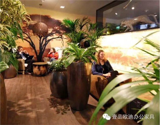 為什么辦公室里一定要養(yǎng)植物？-壹品歐迪辦公家具