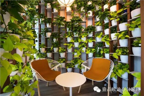 為什么辦公室里一定要養(yǎng)植物？-壹品歐迪辦公家具