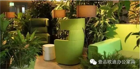 為什么辦公室里一定要養(yǎng)植物？-壹品歐迪辦公家具