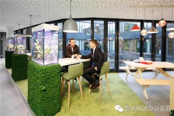 為什么辦公室里一定要養(yǎng)植物？-壹品歐迪辦公家具