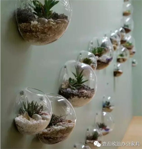 為什么辦公室里一定要養(yǎng)植物？-壹品歐迪辦公家具