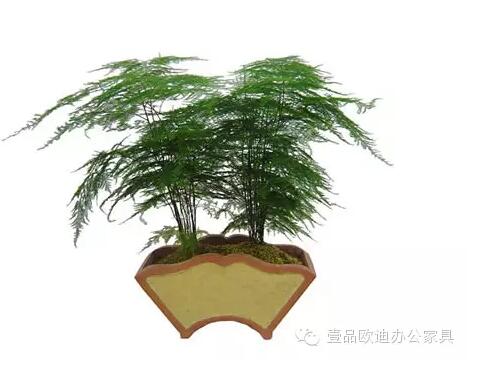 輕松解決辦公室內(nèi)各種污染！