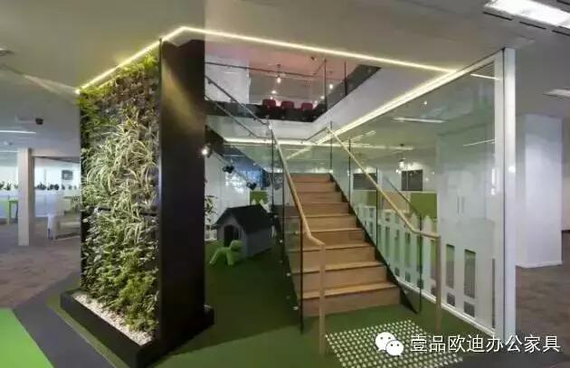 為什么辦公室里一定要養(yǎng)植物？-壹品歐迪辦公家具