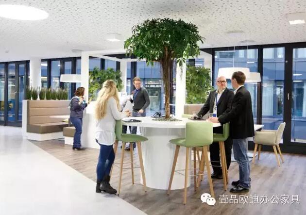 為什么辦公室里一定要養(yǎng)植物？-壹品歐迪辦公家具