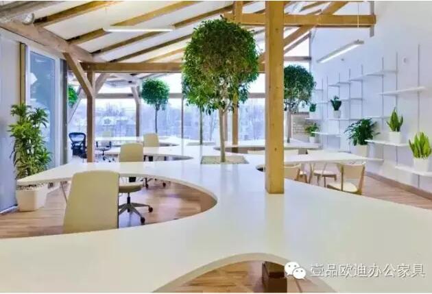 為什么辦公室里一定要養(yǎng)植物？-壹品歐迪辦公家具